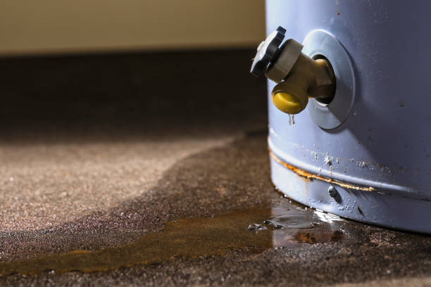  Zolfo Springs, FL Water damage restoration Pros