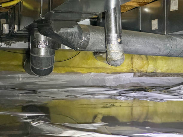Best Local water damage restoration  in Zolfo Springs, FL