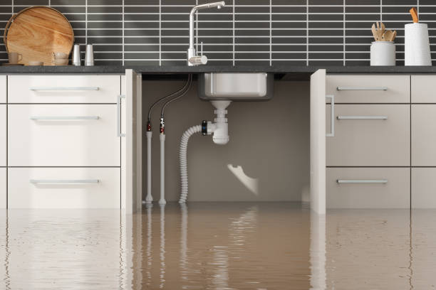 Best Basement water damage restoration  in Zolfo Springs, FL