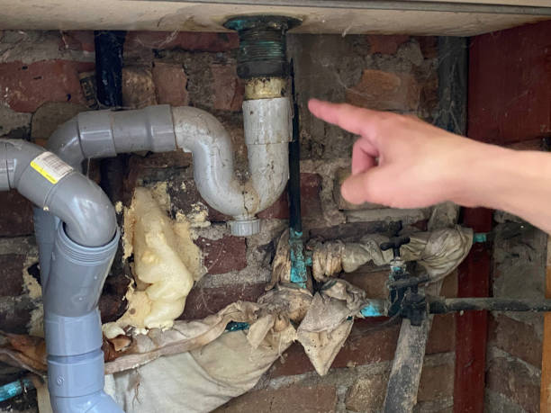 Best Fire Damage Restoration  in Zolfo Springs, FL