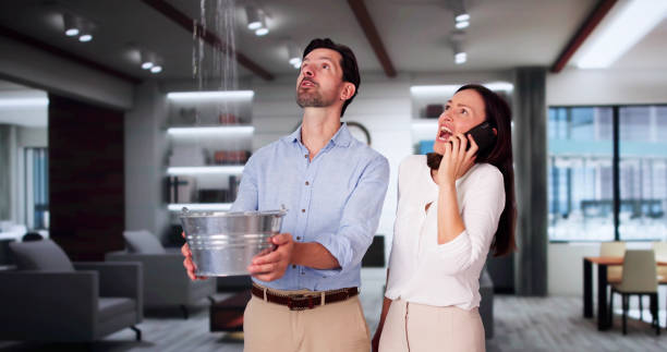 Best Ceiling water damage repair  in Zolfo Springs, FL