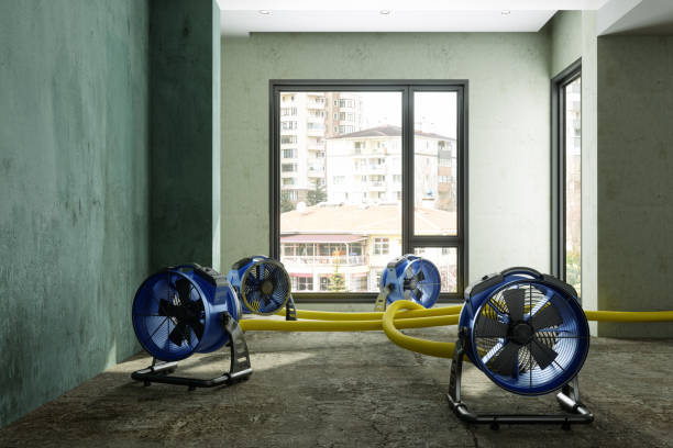 Best Emergency water damage restoration  in Zolfo Springs, FL
