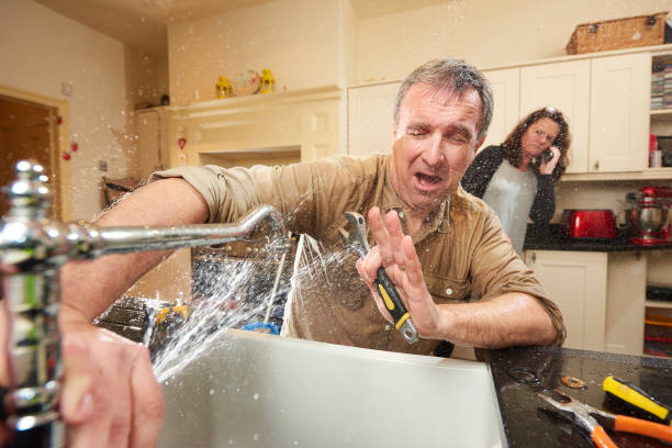 Best Flood damage cleanup  in Zolfo Springs, FL